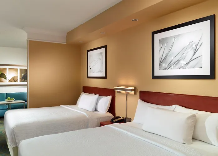 亚特兰大Buckhead万豪酒店Springhill Suites